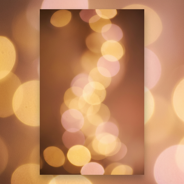 Julia Bopp - Porträt